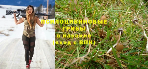 сатива Арсеньев