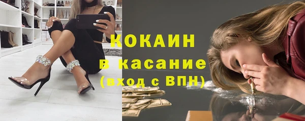 сатива Аркадак