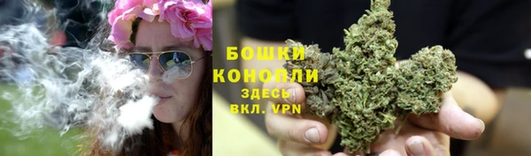 сатива Аркадак