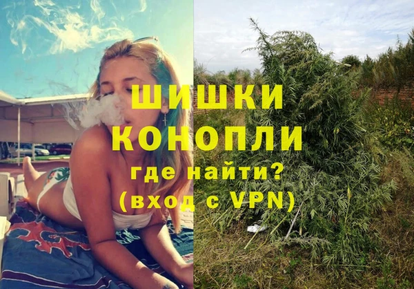 сатива Аркадак