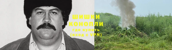 стаф Армянск