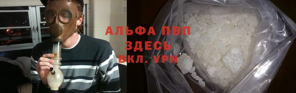 сатива Аркадак