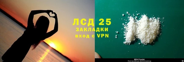 сатива Аркадак