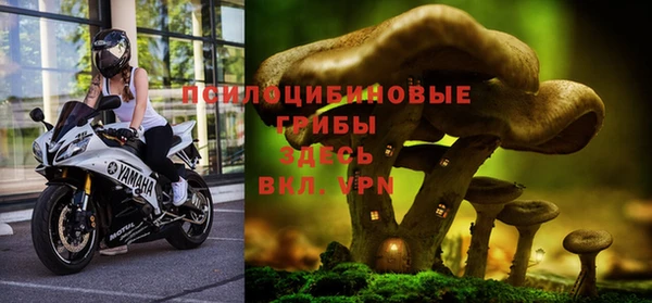 стаф Армянск