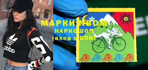 сатива Арсеньев