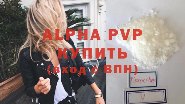 сатива Арсеньев