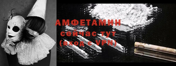 сатива Аркадак