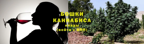 сатива Арсеньев