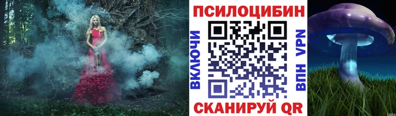 магазин продажи наркотиков сайты даркнета как зайти Галлюциногенные грибы Psilocybine cubensis Родники блэк спрут сайт